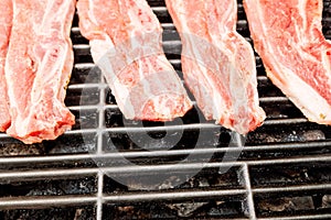 Pork meat is rich in saturated and monosaturated fatty acids