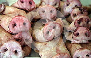 Pork noses