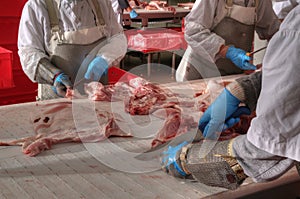 Pork processing meat food industry
