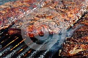 Pork Ribs on the Grill