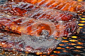 Pork Ribs on the Grill photo