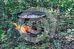 Pork sausages cooked fast on a campfire in nature