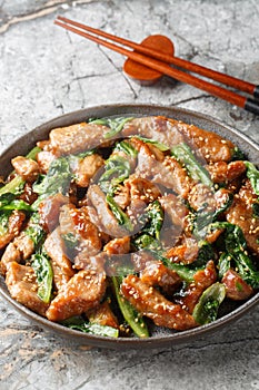 Pork tenderloin and Romaine Stir-Fry with soy sauce, sesame seeds closeup on the plate. Vertical