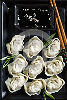 Pork and vegetable wonton with soy sauce