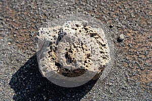 Porous lava rock in Iceland.