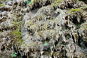Porous melted flowstone stalagmites on a dry waterfall