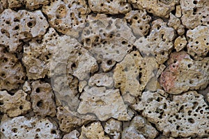 Porous pumice stones wall