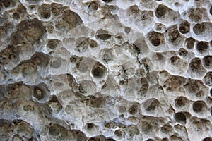 Porous rock texture