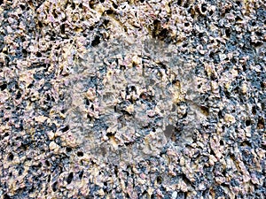 Porous rocky texture as a background, limestone