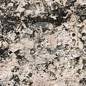 Porous sandstone