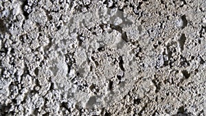 Porous stone