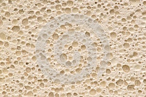 Porous stone surface. Background photo