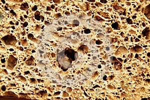 Porous stone texture photo