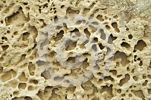 Porous surface of the rock