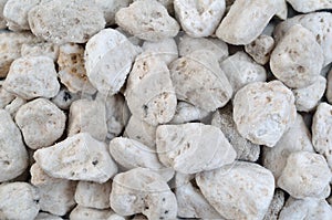 Porous white volcanic rock. Lava stone, pumice stone, or volcanic pumice with distinctive pores
