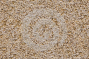 Porouse scrub texture seamless background, foam stone limestone