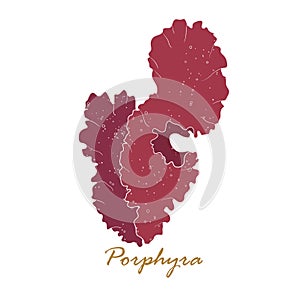 Porphyra seaweed. Red algae. Vector hand drawn illustration isolated on white background.