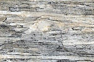 Porphyroclast in a layered metamorphic rock