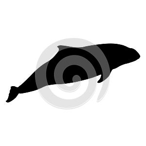 Porpoise Silhouette. Good To Use For Element Print Book, Animal Book and Animal Content