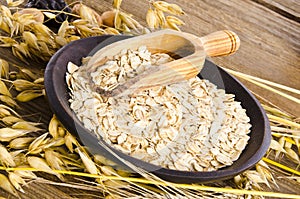 Papilla avena 