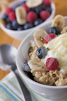 Porridge oats & fruit