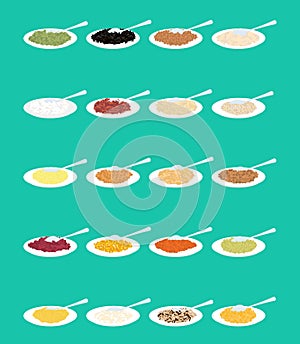 Porridge in plate and spoon set. Rice and lentils. Red beans and peas. Corn and barley gritz. Millet and cuscus. Oat and buckwheat