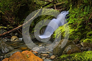 Port Alberni - Unnamed Falls in Fossli Park