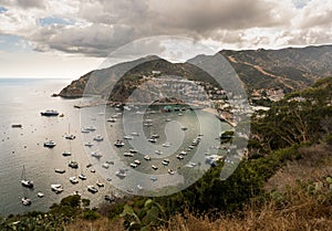 Port of Avalon on Catalina Island