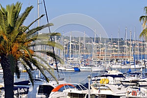 Port of Bandol in France