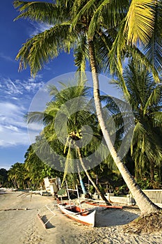 Port barton beach banka palawan philippines photo