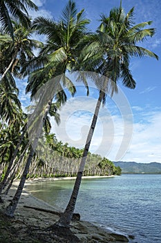 Port Barton in Palawan, Philippines