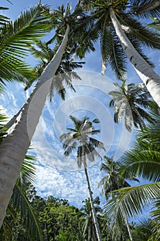 Port Barton in Palawan, Philippines