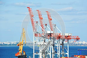 Port cargo crane and container