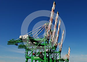 Port Cranes