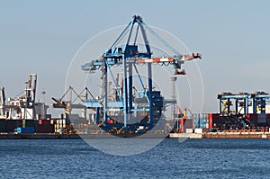 Port with cranes and containers