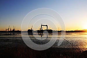 Port Cranes, Seacoast Sunset, Cargo and Shipping Industries