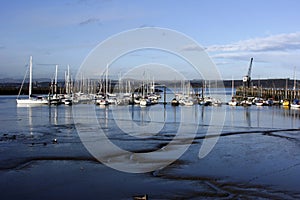 Port Edgar Marina, Scotland photo