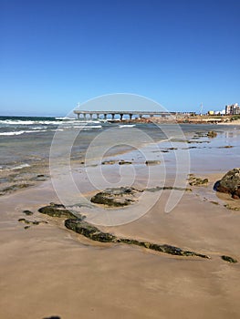 Port Elizabeth seascape