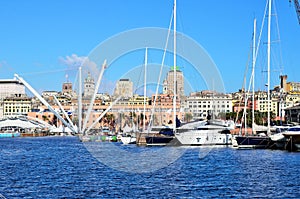 The port of Genoa