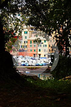 Port of Genoa Nervi from the Promenade.