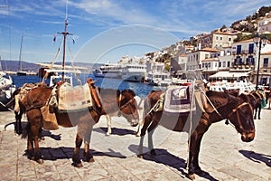 Port of Hydra, Greece