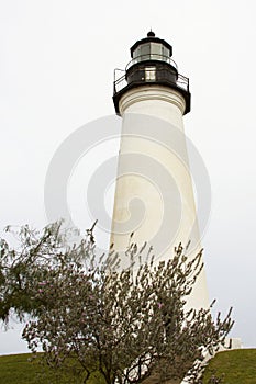 Port Isabel Light House Park photo