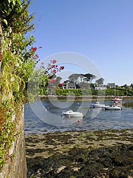 Port of Le Conquet in France