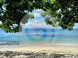 port louis souffleur beach seen from under the tree, guadeloupe