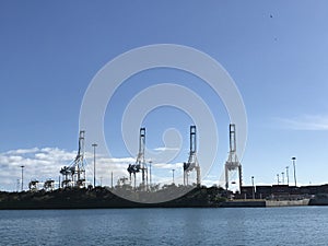 Port of Miami Cargo Terminal Cranes View. Photo image