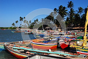 Port near Jericoacoara, Brasil photo