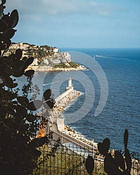 Port of Nice view through the cactuses. Lighthouse in the south coast of France. Azur sea