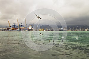 Port of Novorossiysk