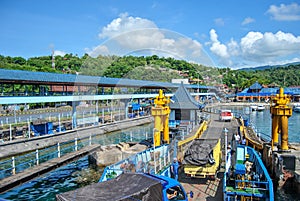 Port in Padang Bay. Cars moving from moored ferry