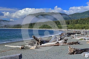 Port Renfrew Pacheedaht Beach at Port San Juan with Vancouver Island Mountains, British Columbia, Canada